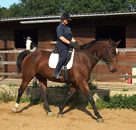 Riding in Harmony, Lee Clatworthy